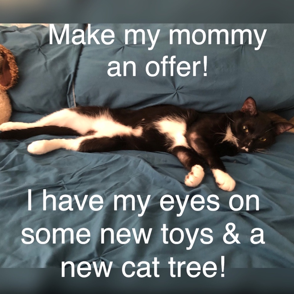 Trying to clean out a bit! Make me some offers!